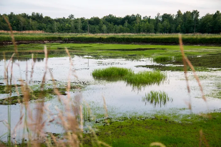 Okolica - Siedlisko Basiówka - zdjęcie 2