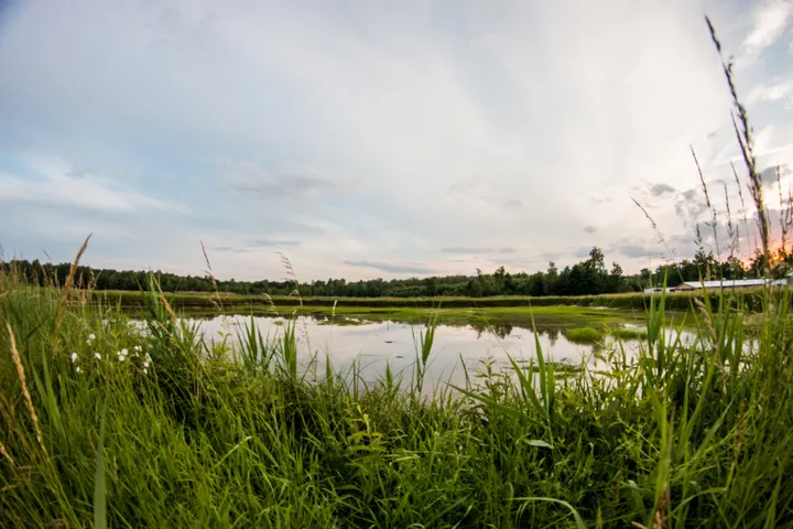 Okolica - Siedlisko Basiówka - zdjęcie 4