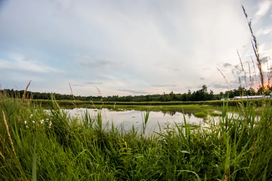 Siedlisko Basiówka - domek i okolica