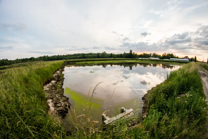 Okolica - Siedlisko Basiówka - zdjęcie 5