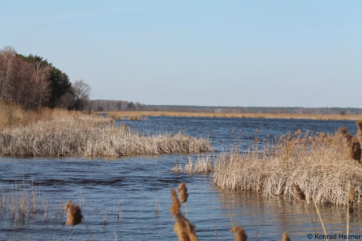 Okolica - Siedlisko Basiówka - zdjęcie 21