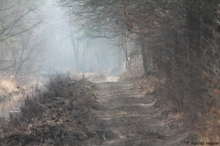 Okolica - Siedlisko Basiówka - zdjęcie 25