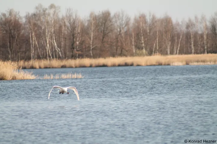 Okolica - Siedlisko Basiówka - zdjęcie 27