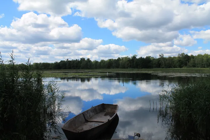 Okolica - Siedlisko Basiówka - zdjęcie 30